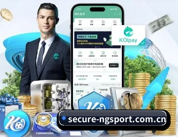 ng体育 APP 深度功能